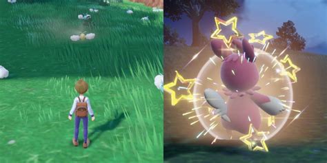How to find shiny Pokémon in Pokémon Scarlet and Violet .